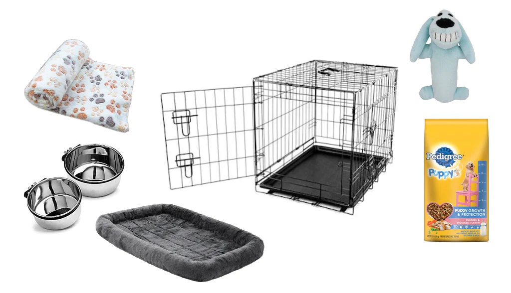 CEFFAA13-2A4C-48E2-8DCD-710F43C09319_1_201_a_1024x